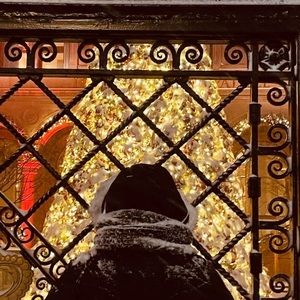 Meet your Posher, Anne